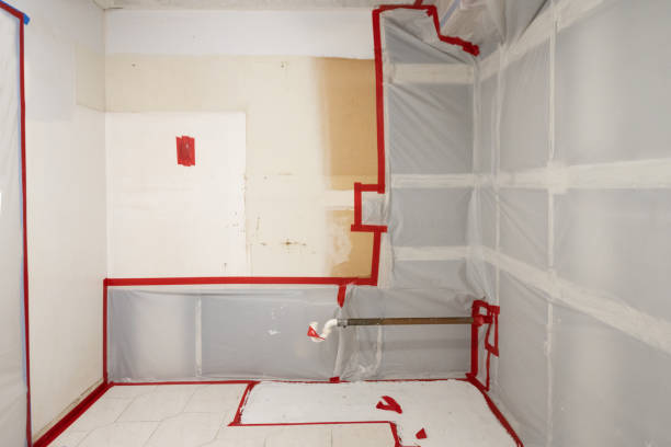 Best Mold-Related Health Consultation  in Zumbrota, MN