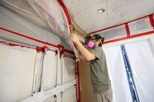 Best Comprehensive Air Testing for Mold Contaminants  in Zumbrota, MN