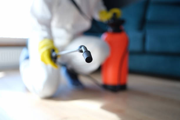 Best Environmental Consulting for Mold Prevention  in Zumbrota, MN