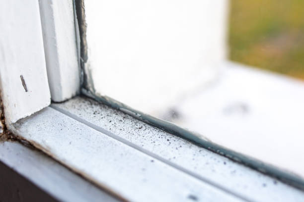 Best Air Quality Testing for Mold Spores  in Zumbrota, MN