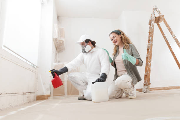 Zumbrota, MN Mold Removal Company