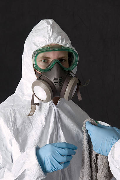 Best Asbestos and Lead Testing During Mold Inspection  in Zumbrota, MN